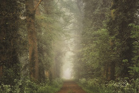 Framed Misty Spring Road Print