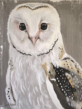Framed Barn Owl Print