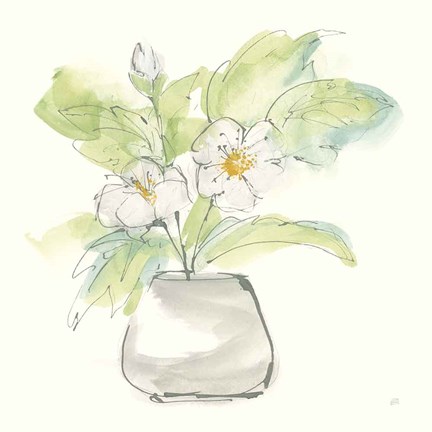 Framed Plant Poppy II Print