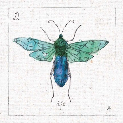 Framed Outdoor Beauties X Color Print