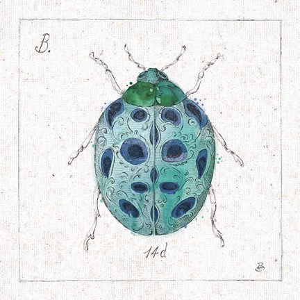 Framed Outdoor Beauties VIII Color Print