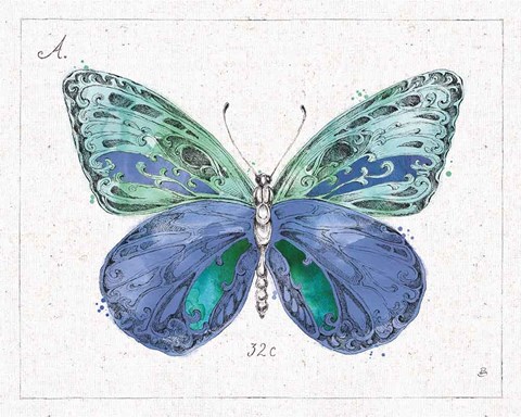 Framed Outdoor Beauties III Color Print