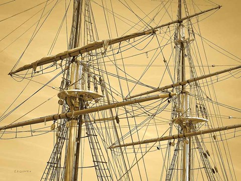 Framed Crows Nest Print