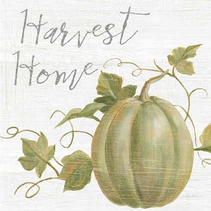 Framed Fall Splendor III Print