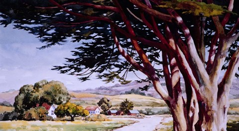 Framed Country Road Print