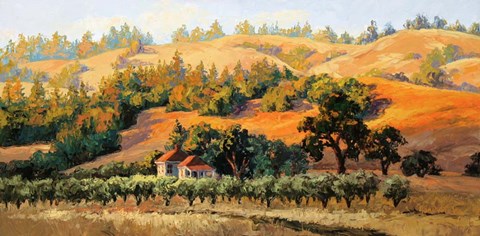 Framed Last Glimmer of Light Print