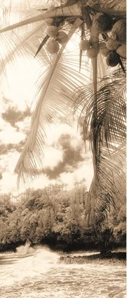 Framed Equatorial Breeze II Print