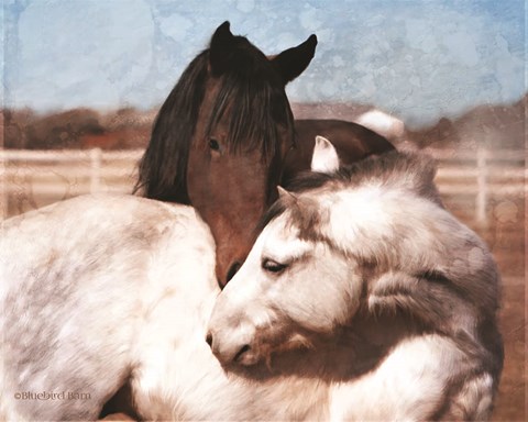 Framed White and Chestnut Horses Print