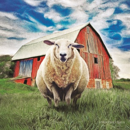 Framed Sunday Afternoon Sheep Pose Print