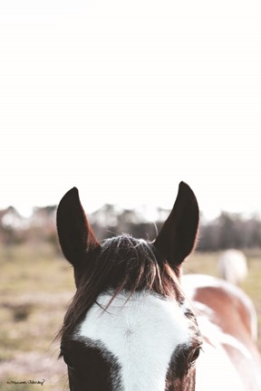 Framed Peek-a-boo Horse Print