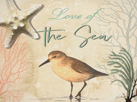 Framed Love of the Sea Print