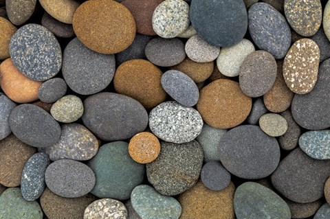 Framed Close-Up Of Beach Rocks Print