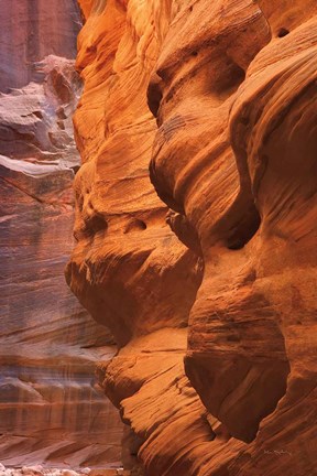 Framed Buckskin Gulch III Print