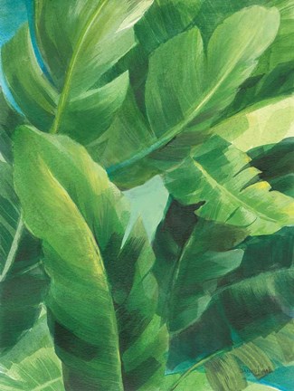 Framed Palms of the Tropics II Print