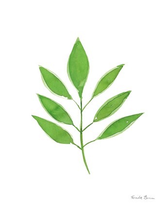 Framed Fresh and Green VI Print