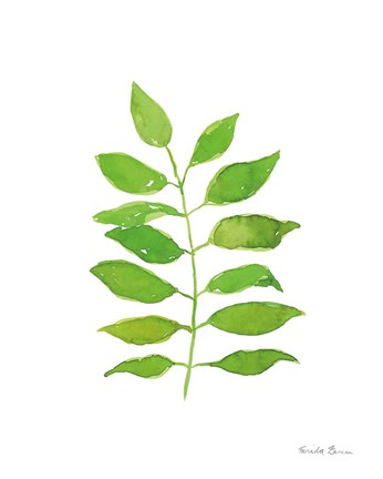 Framed Fresh and Green IV Print