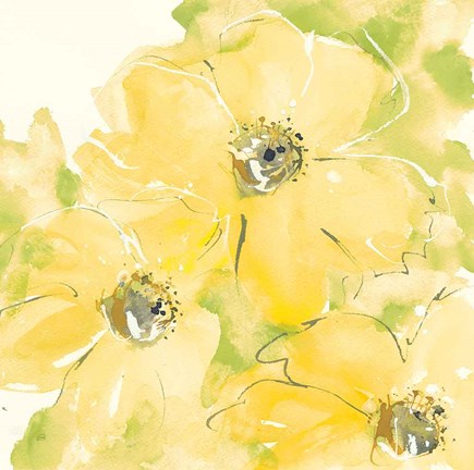 Framed Sunshine Cosmos I v2 Print