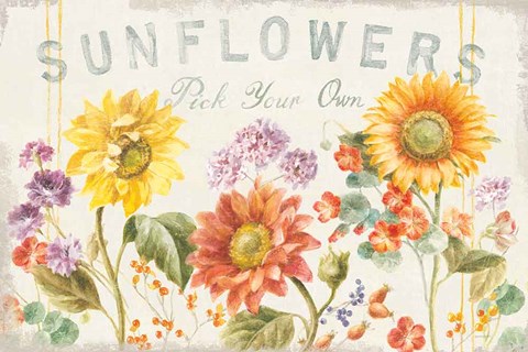 Framed Floursack Autumn IX Sunflowers Print