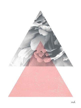 Framed Blossoms II v2 Print