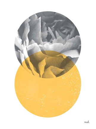 Framed Blossoms I v2 Print