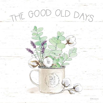 Framed Farmhouse Cotton III Sage Print