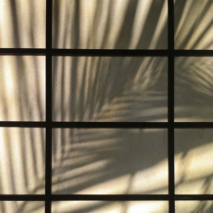 Framed Palm Window Print
