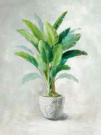 Framed Greenhouse Palm II Print