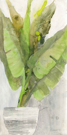 Framed Tropical Planter II Print