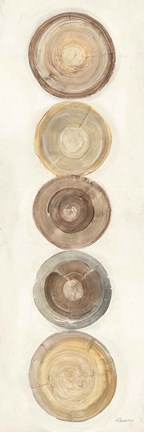 Framed Through The Years IV Print