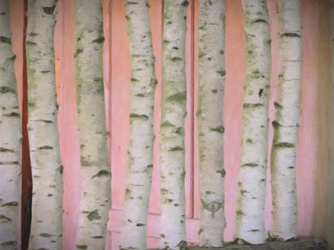 Framed Birch Logs On Pink Print