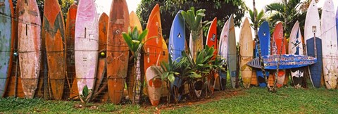 Framed Arranged Surfboards, Maui, Hawaii Print