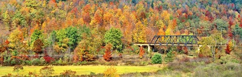 Framed Cantilever Bridge And Autumnal Trees In Forest, Central Bridge, New York State Print