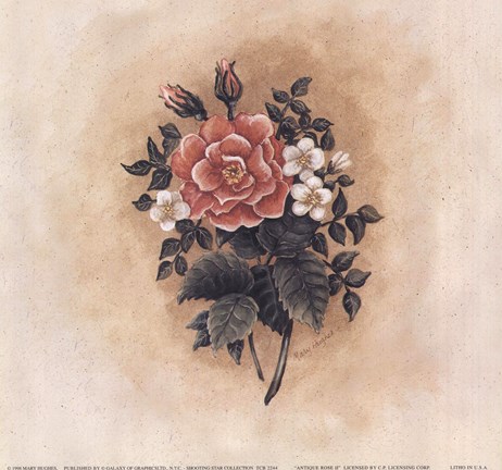 Framed Antique Rose II Print