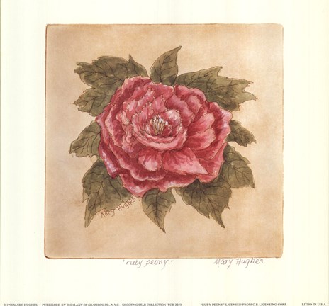 Framed Ruby Peony Print