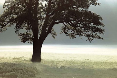 Framed Enlighten Me Print