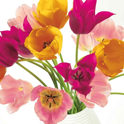 Framed Burst of Sunshine II Print