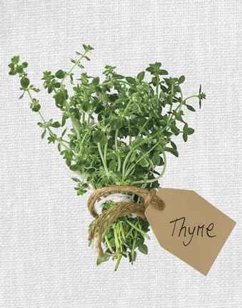Framed Thyme Print