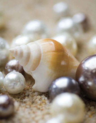 Framed Sea Jewels I Print