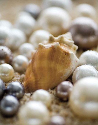 Framed Sea Jewels III Print