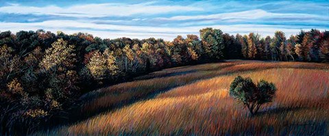 Framed Maestro Print