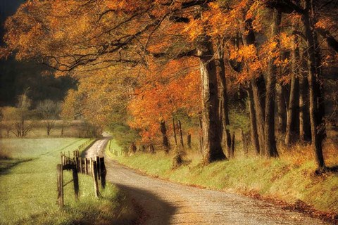 Framed Autumn&#39;s Morning Light Print
