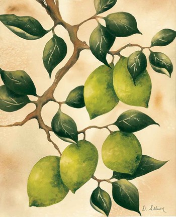 Framed Italian Harvest - Limes Print