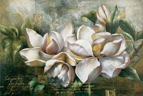Framed Dawning Magnolias Print