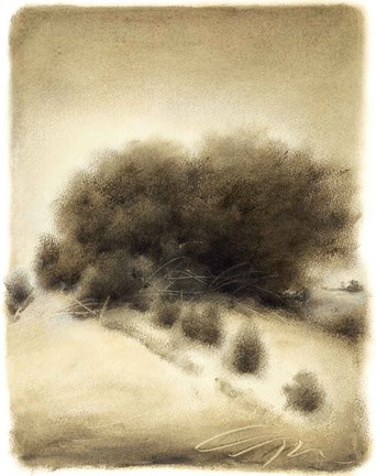 Framed Hill Side I Print