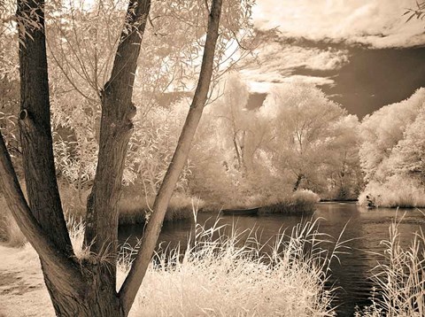 Framed Lakefront View I Print