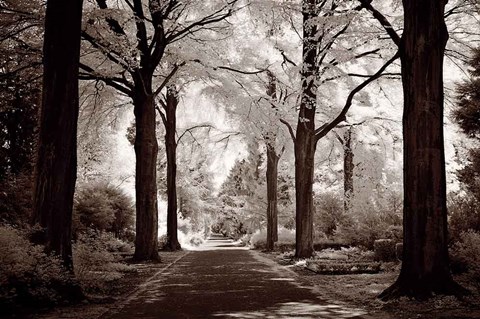 Framed Arcadia Print