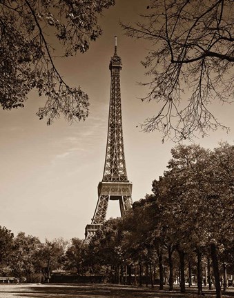 Framed Afternoon Stroll - Paris II Print
