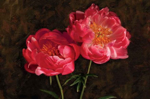 Framed Romance Print