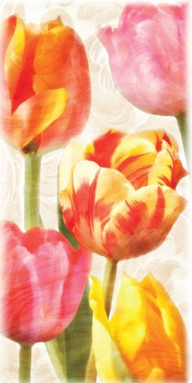 Framed Glowing Tulips II Print