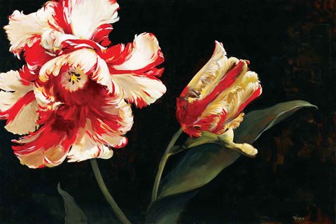 Framed Resplendent Print